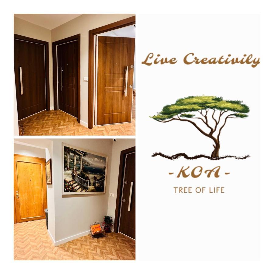 Koa Guesthouse Stadium Congress Elite Orl Embassy 地拉那 外观 照片